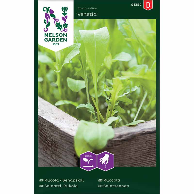 Rucola / Sandsenap 'Speedy Venetia'