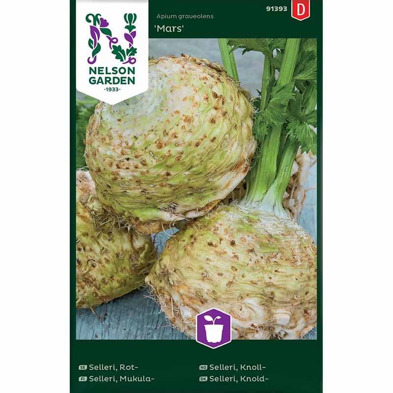 Knoldselleri 'Mars'