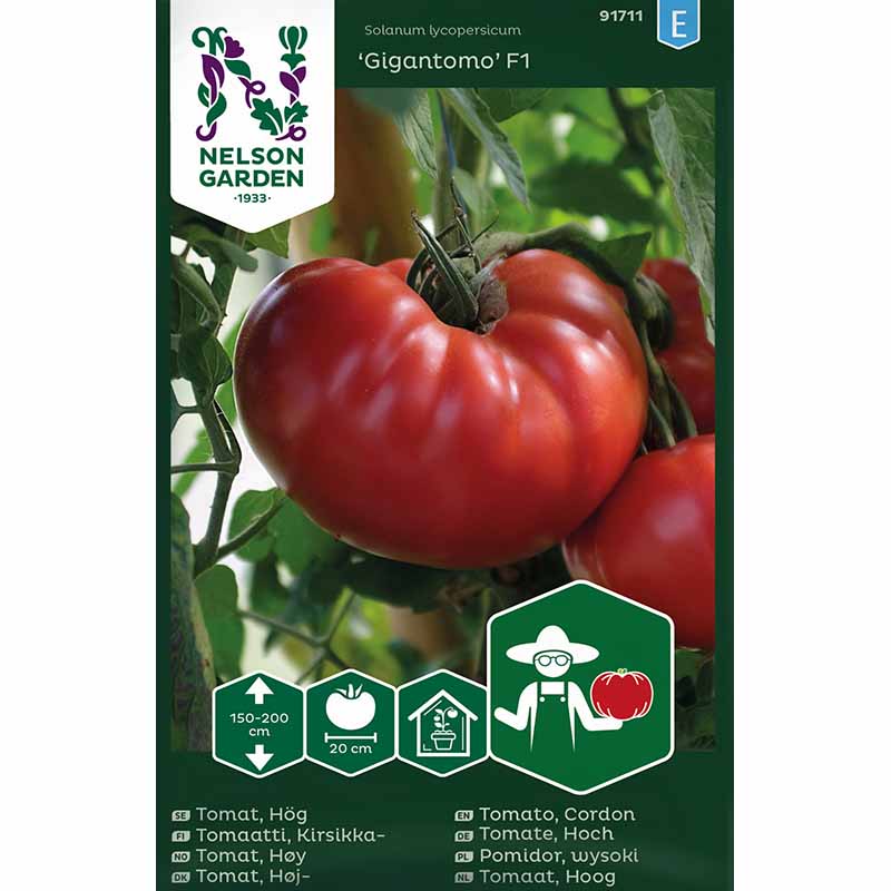 Tomat 'Gigantomo' F1