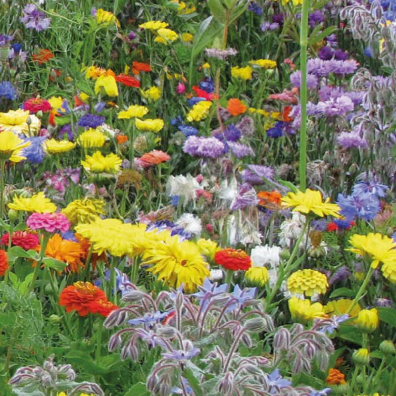 Luksus Nektarblanding