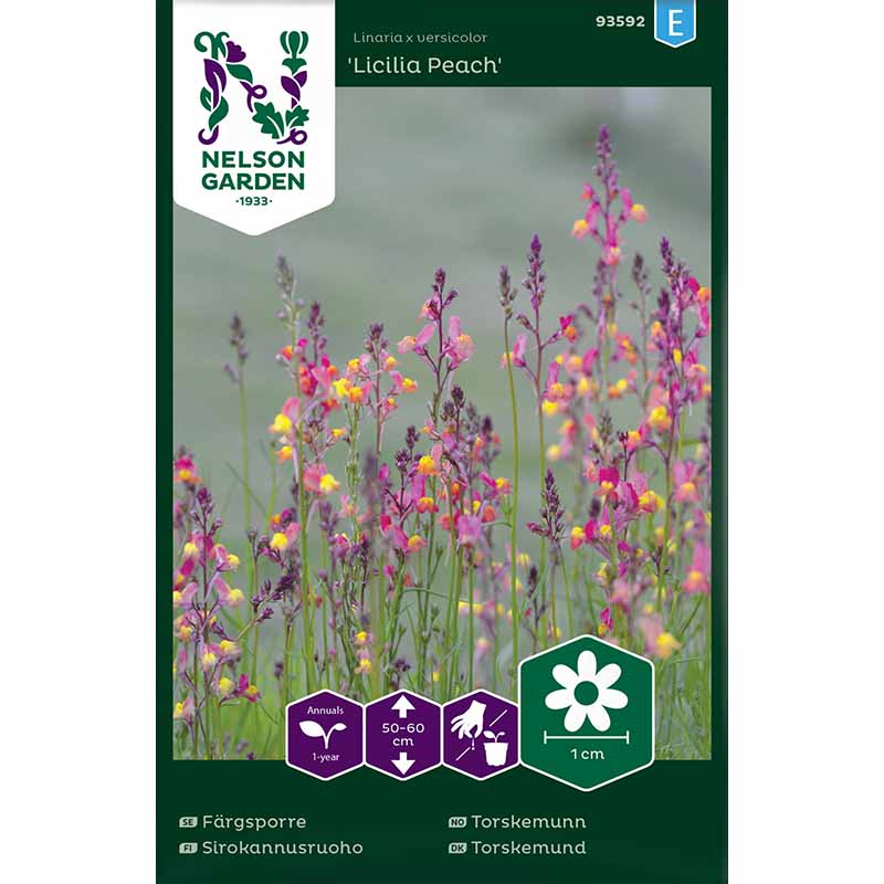 Torskemund 'Licilia Peach'