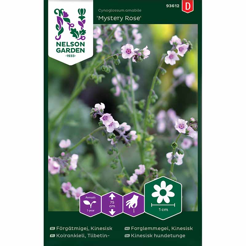 Kinesisk Forglemmigej 'Mystery Rose'