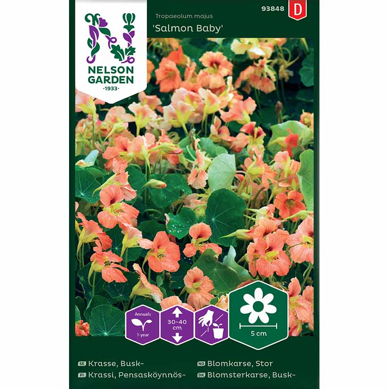 Buskkarse 'Salmon Baby'