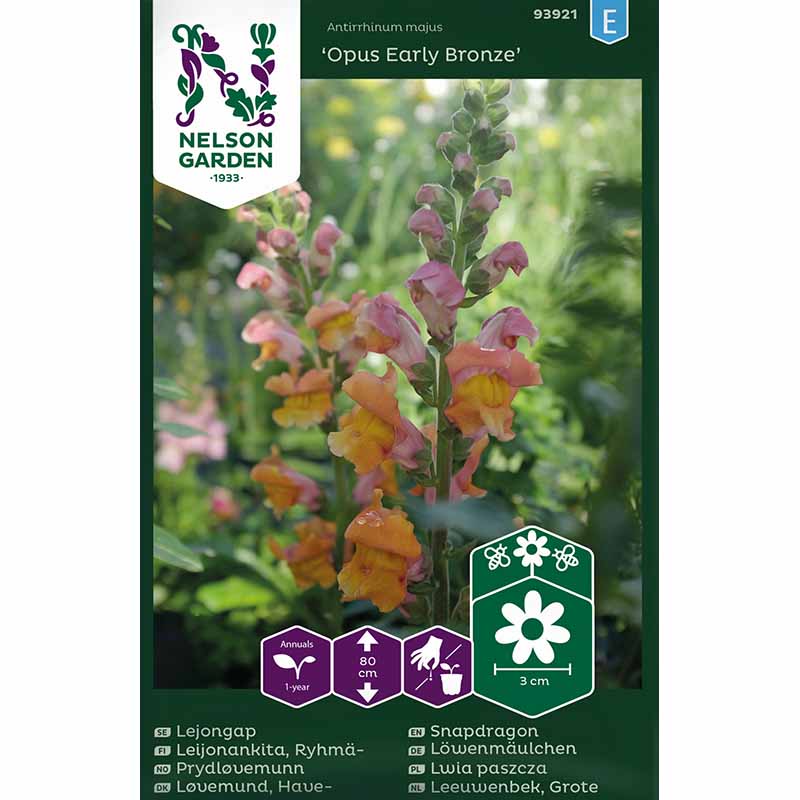 Løvemund 'Opus Early Bronze' F1