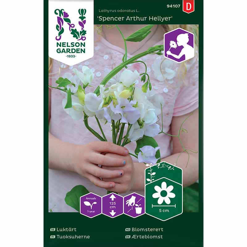 Ært blomster 'Spencer Arthur Hellyer'