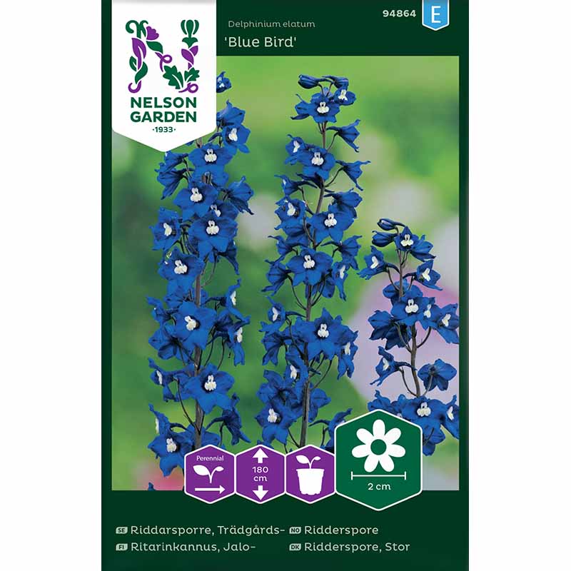 Haveridderspore 'Blue Bird'