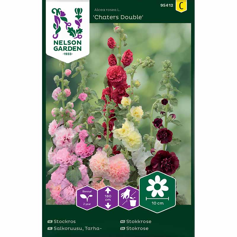 Stokrose 'Chaters Double'