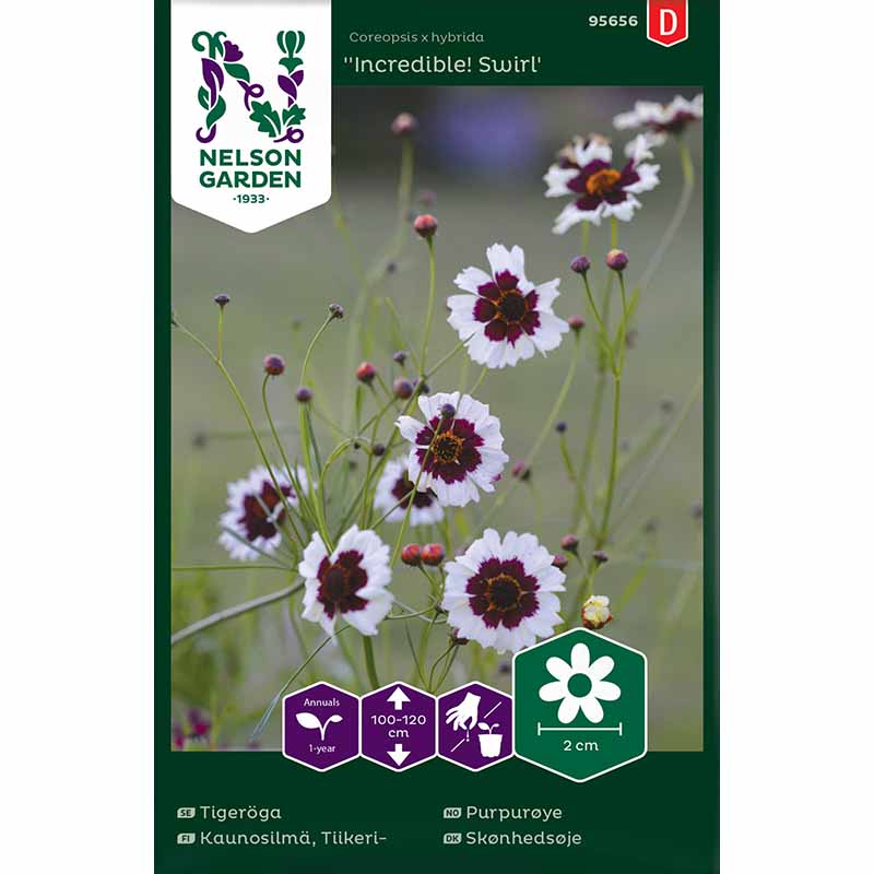 Tigerøje 'Incredible! Swirl'