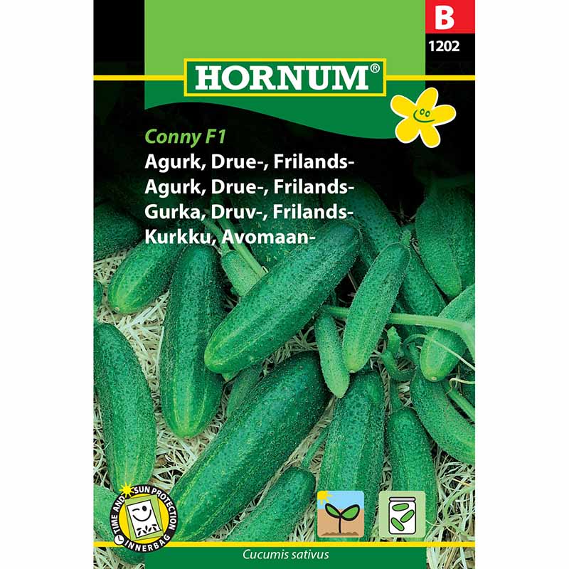 Frilandsgurk 'Libelle' F1