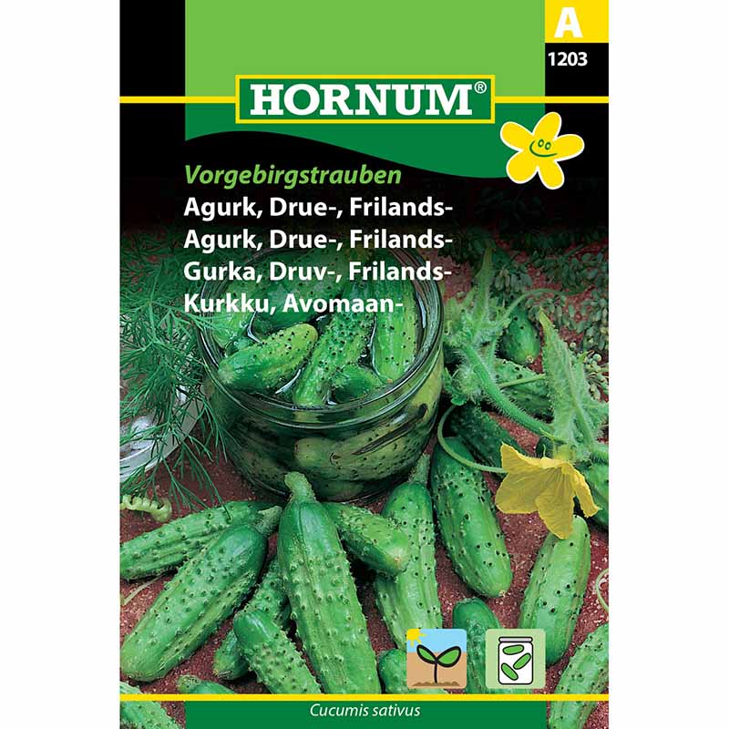 Frilandsgurk 'Vorgebirgstrauben'