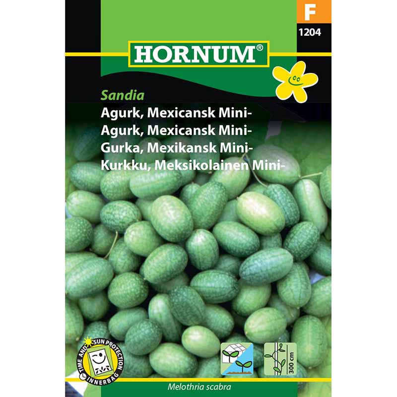 Mexicansk minigurk 'Sandia'
