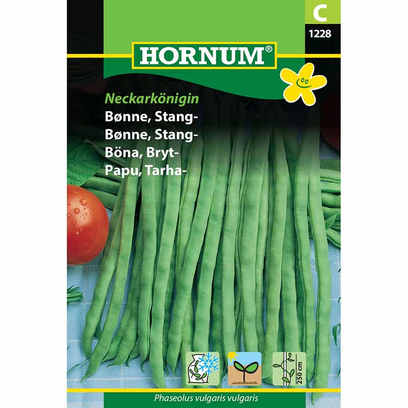 Snittebønne 'Neckarkönigin'