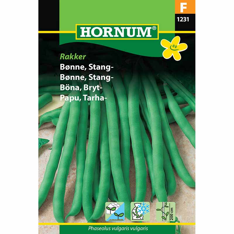 Snittebønne 'Rakker'