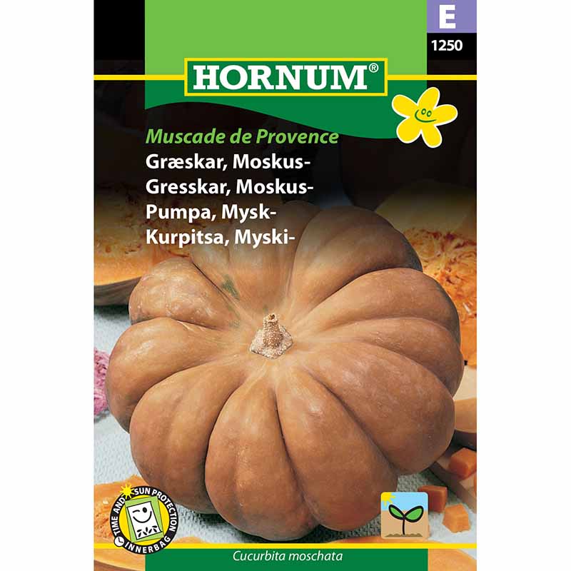 Moskusgræskar 'Muscade de Provence'