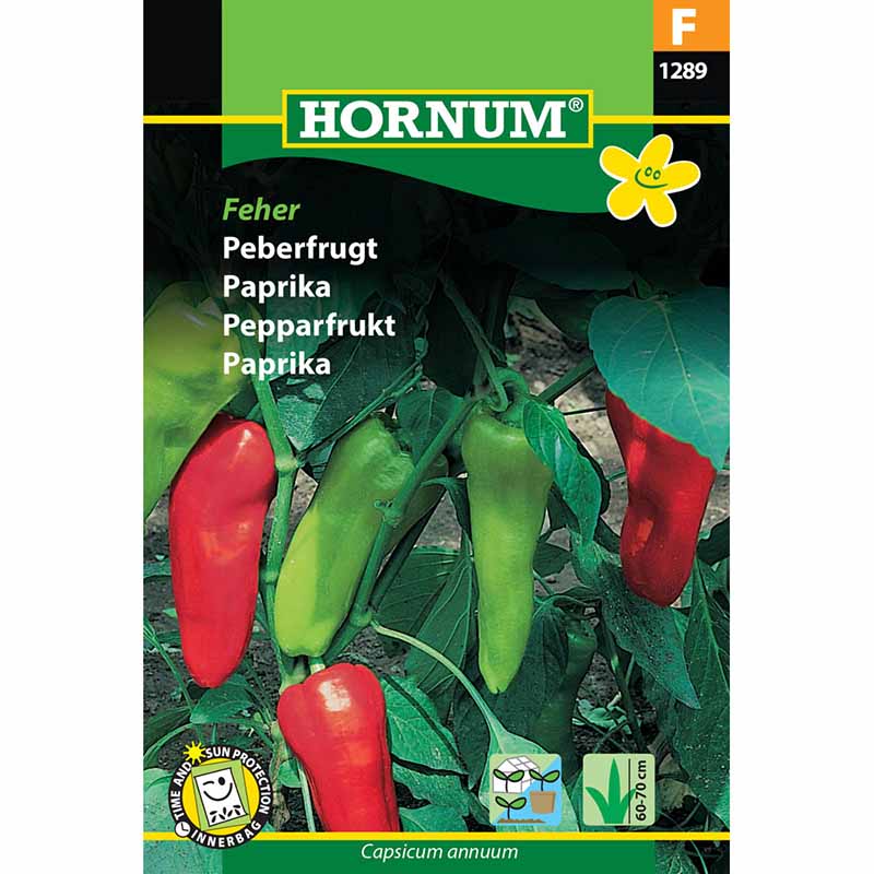 Sød peber 'Kostas' F1