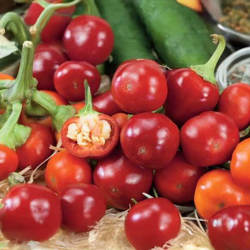 Chili 'Ciliegia piccante'