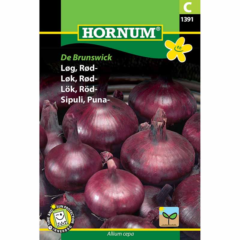 Rødløg 'Braunschweiger Dunkelblutrote'