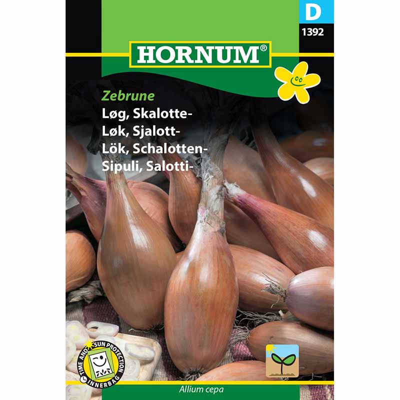 Skalotteløg 'Zebrune'