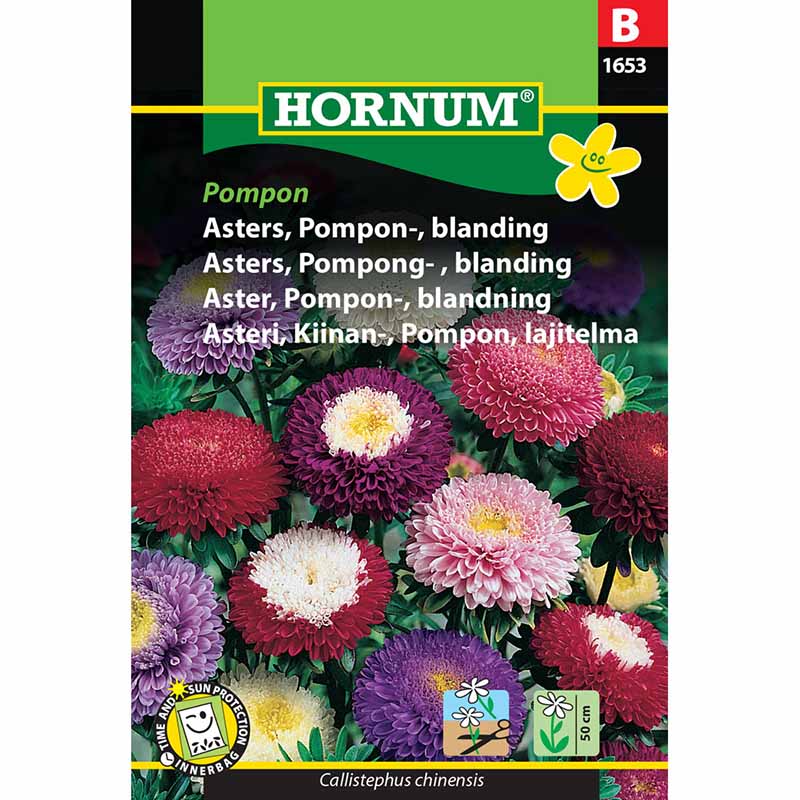 Asters 'Pompon mix'