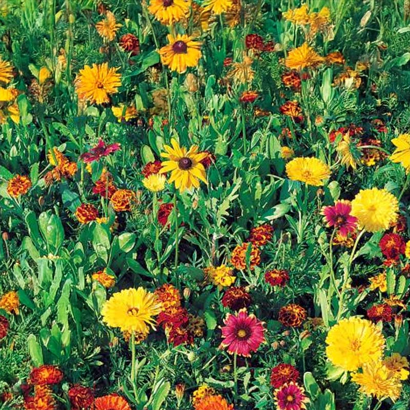 Jordforbedring, blanding