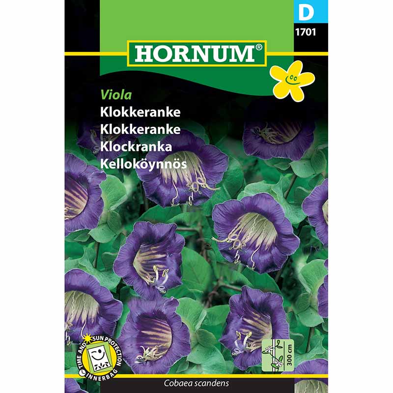 Klokkeranke 'Viola'