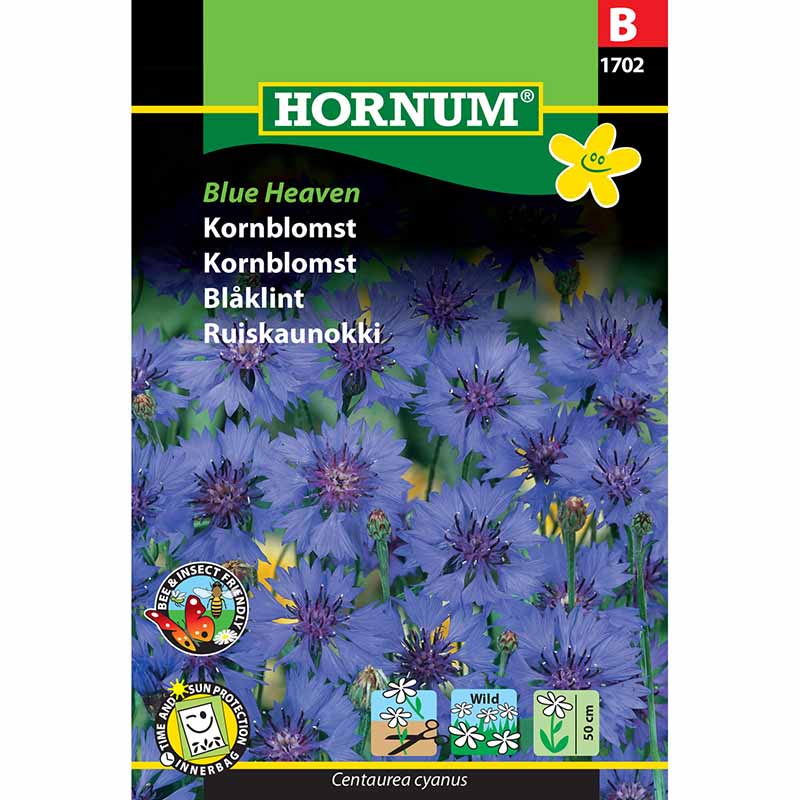Kornblomst 'Blue Heaven'