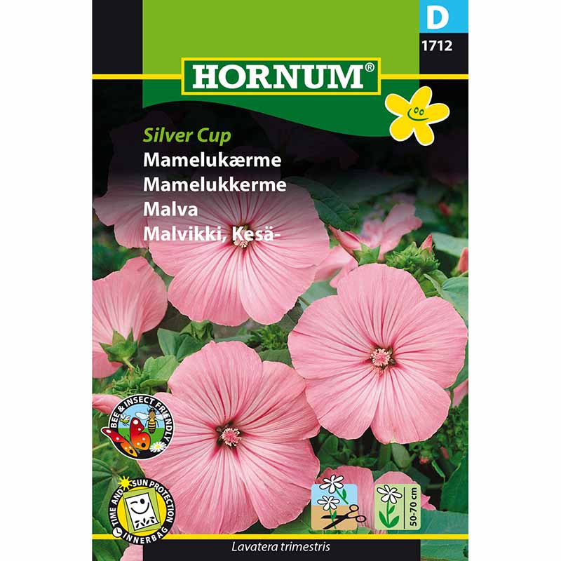 Stokrose 'Silver Cup'