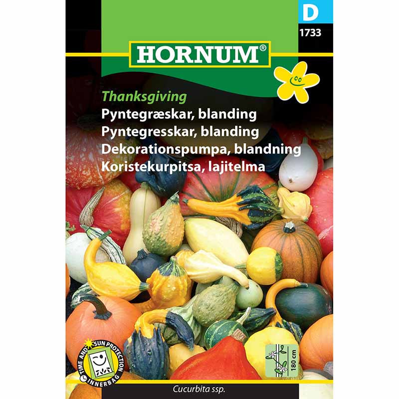 Pyntegræskar 'Thanksgiving'
