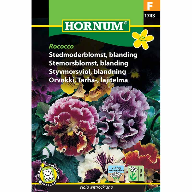 Stedmoderblomst 'Rococco'