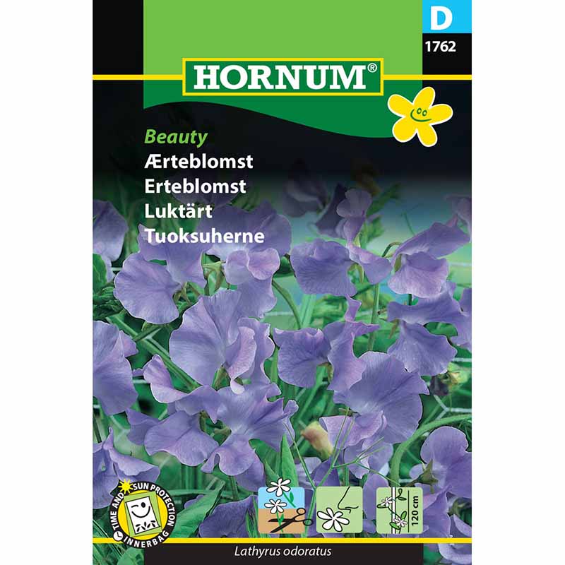 Ærteblomst 'Beauty'