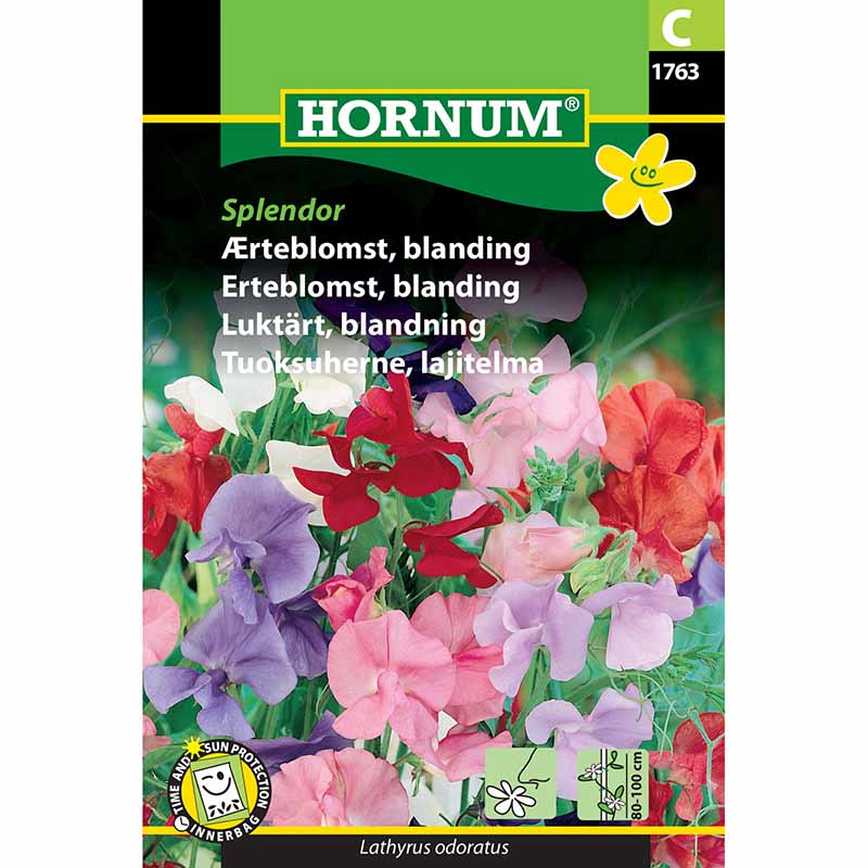 Ærteblomst 'Splendor'