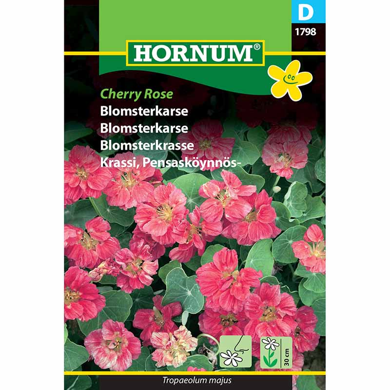 Blomsterkarse 'Cherry Rose'