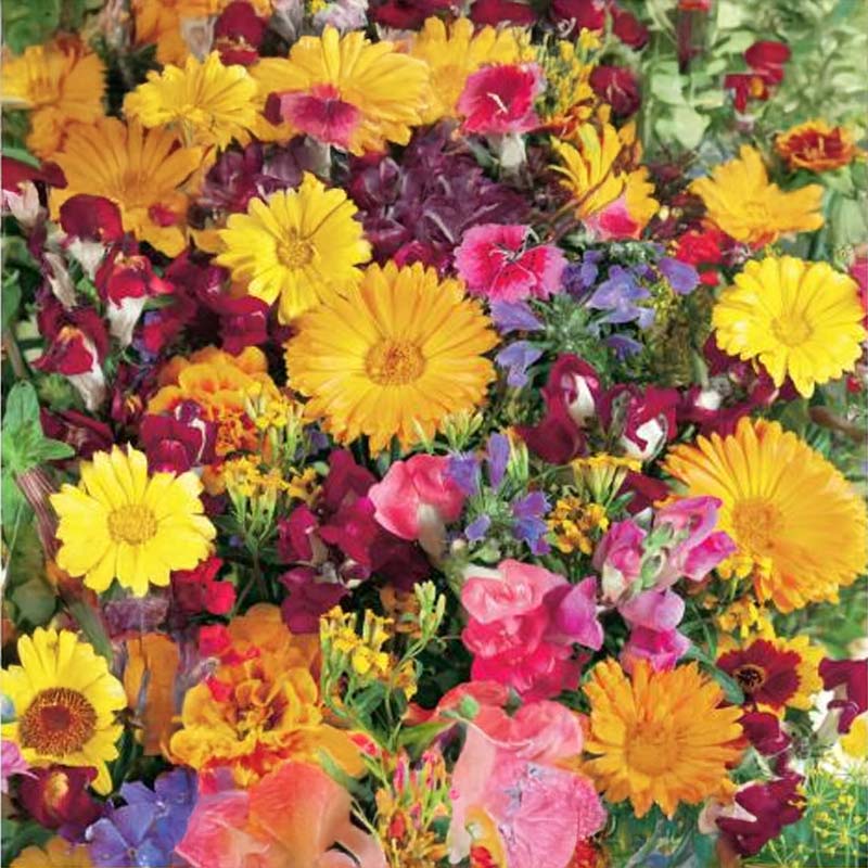 Duftende blomsterblanding