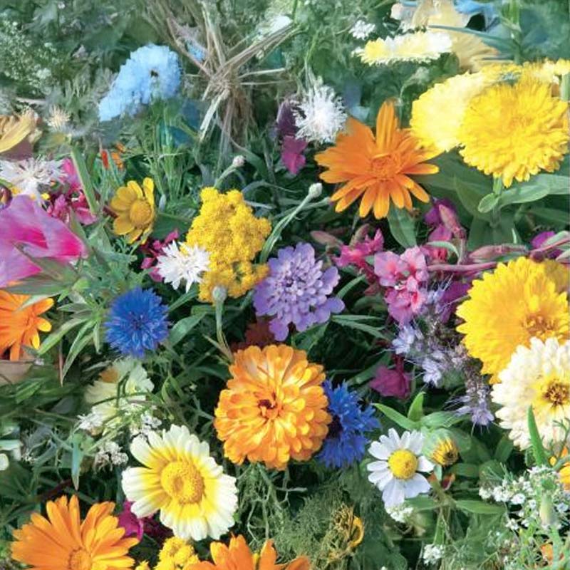 Sommerblomstblanding