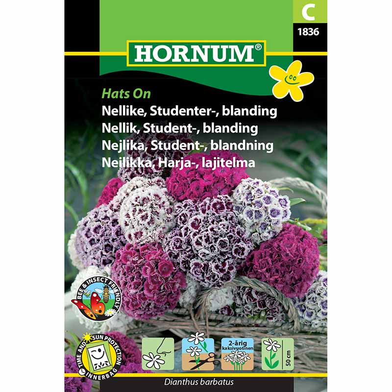 Studenternellike 'Hats On'