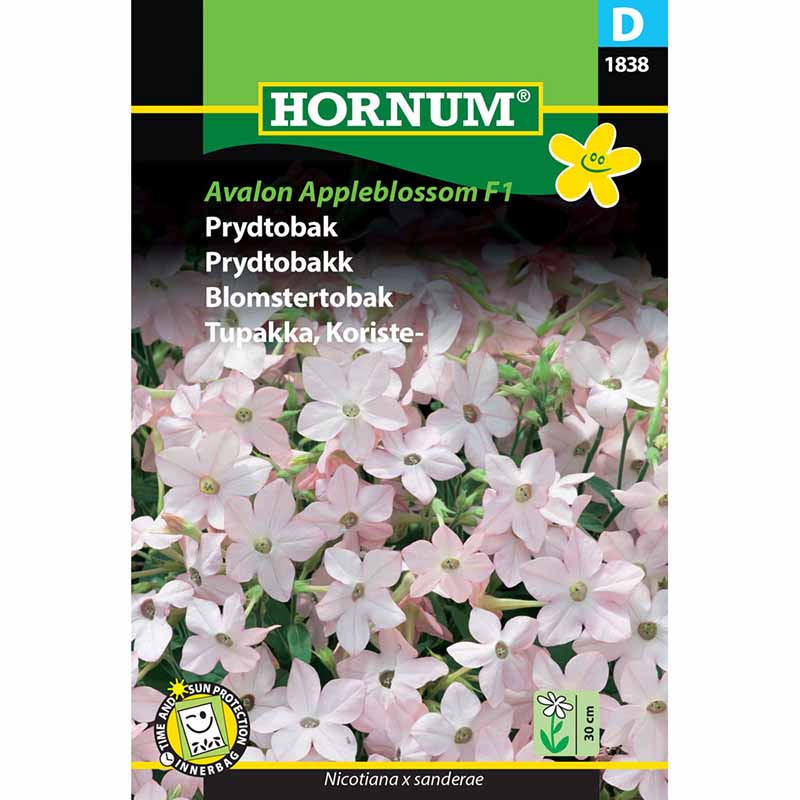 Blomstertobak 'Avalon Appleblossom' F1