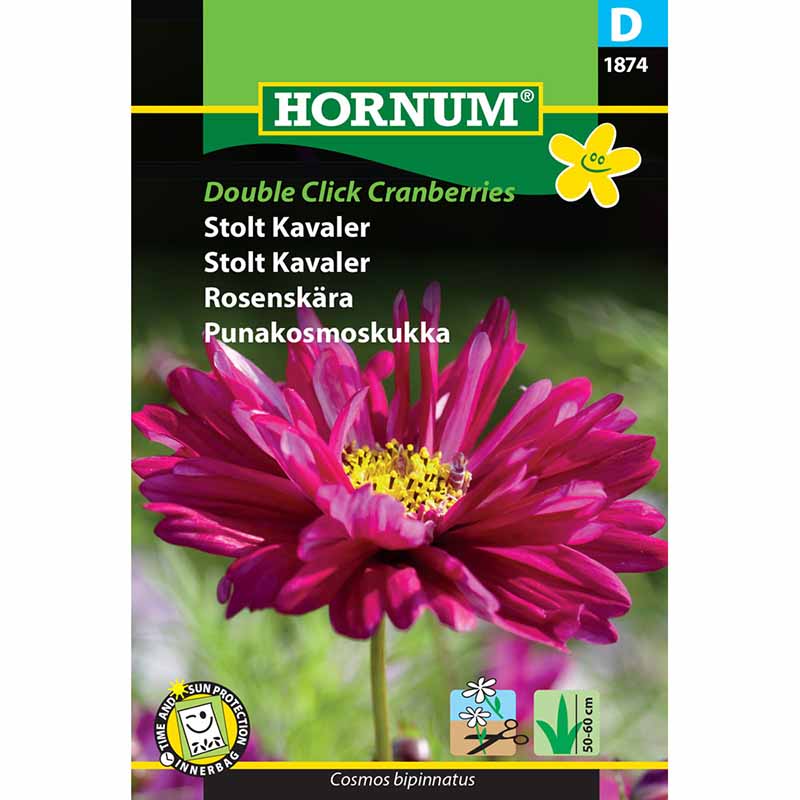 Stolt kavaler 'Double Click Cranberries'