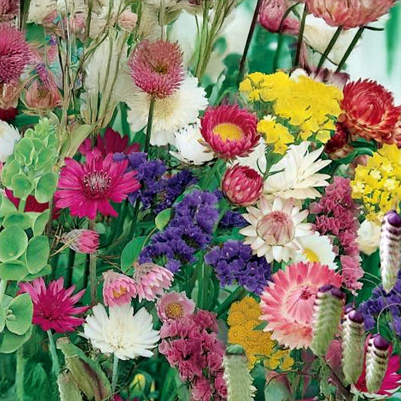 Tørrede blomsterblanding