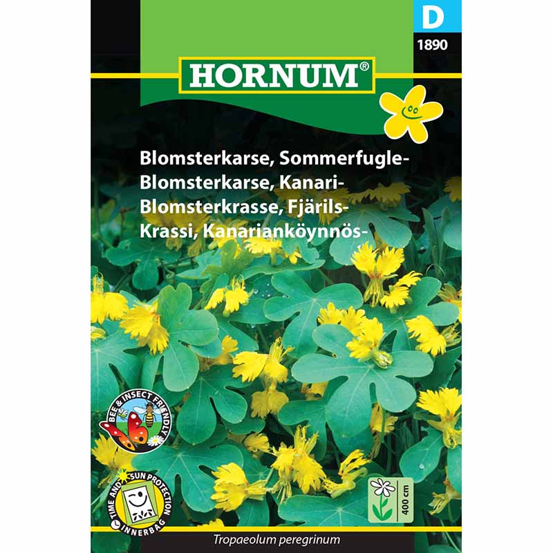 Sommerfugl-blomsterkarse