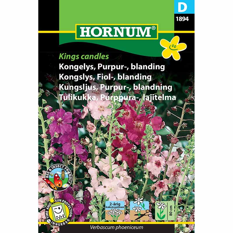 Purpurkongelys 'Kings Candles'