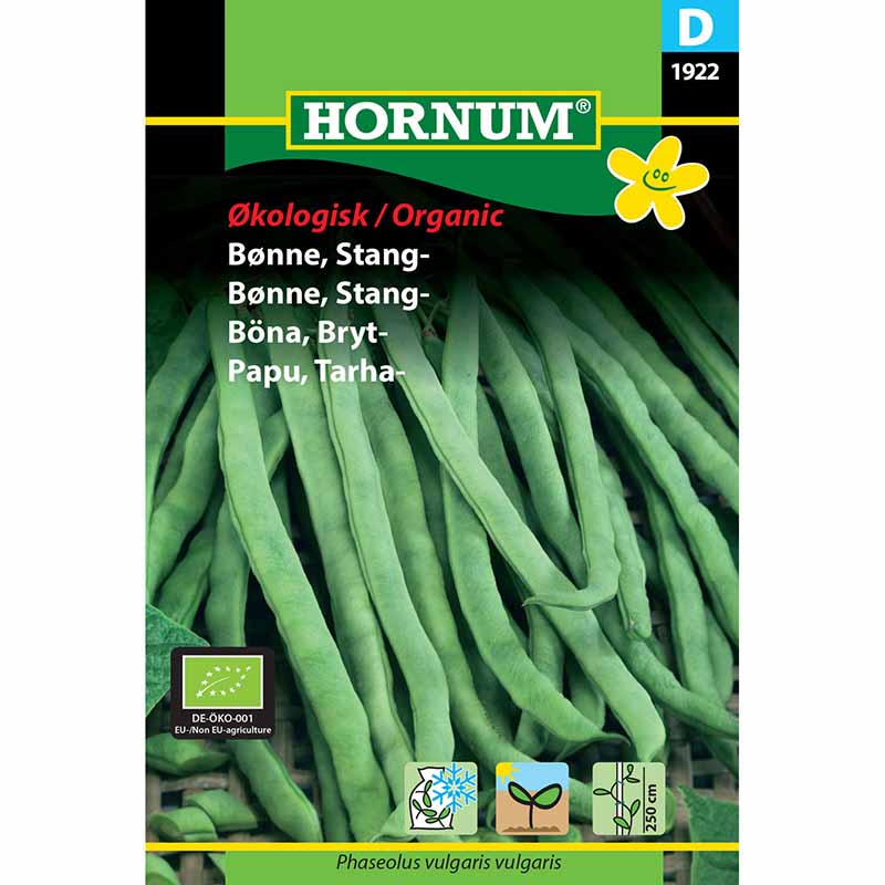 Bælgplante 'Neckarkönigin'