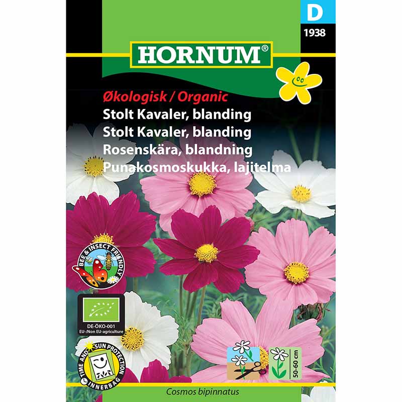 Kosmosblomst 'Cosmea'