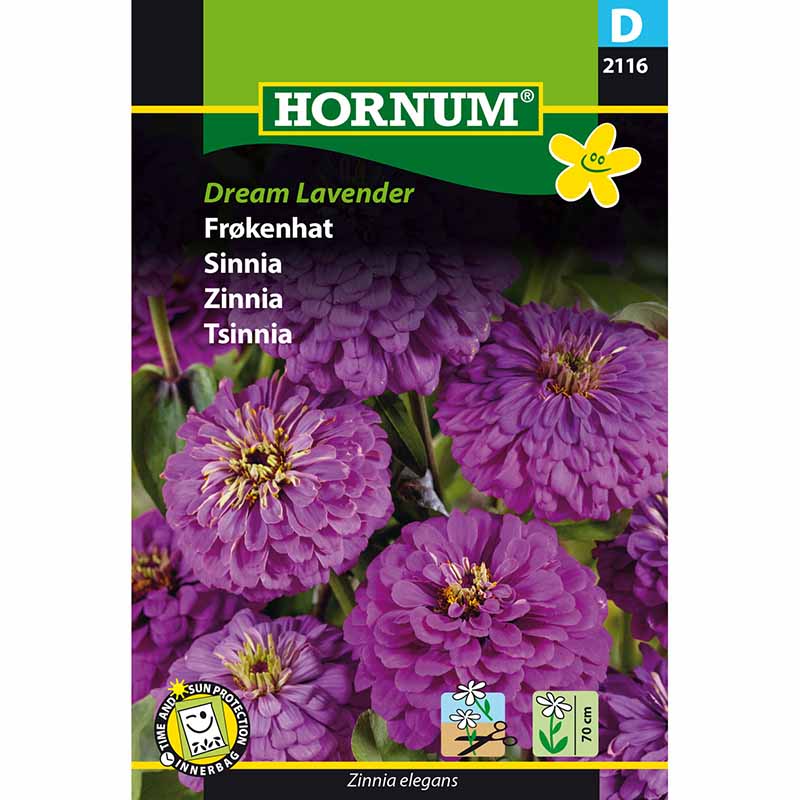 Zinnia Dream 'Lavender'