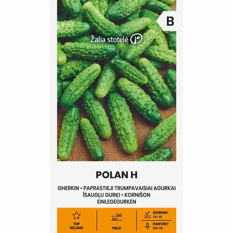 Frilandagurk 'Polan' F1