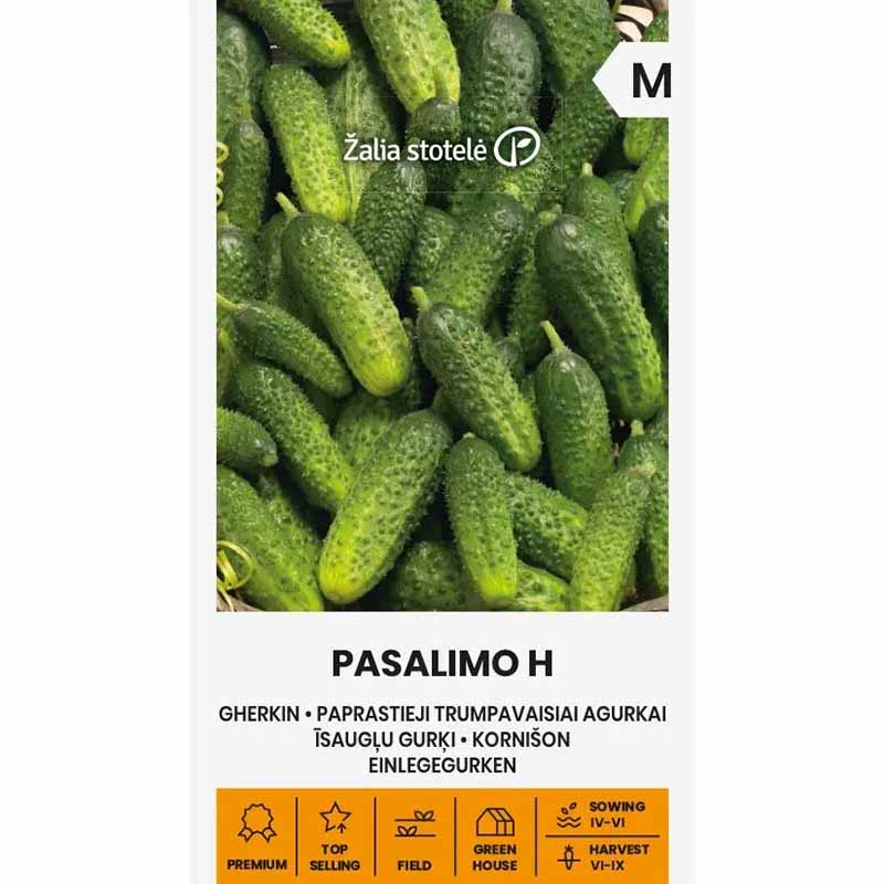 Frilandagurk 'Pasalimo' F1