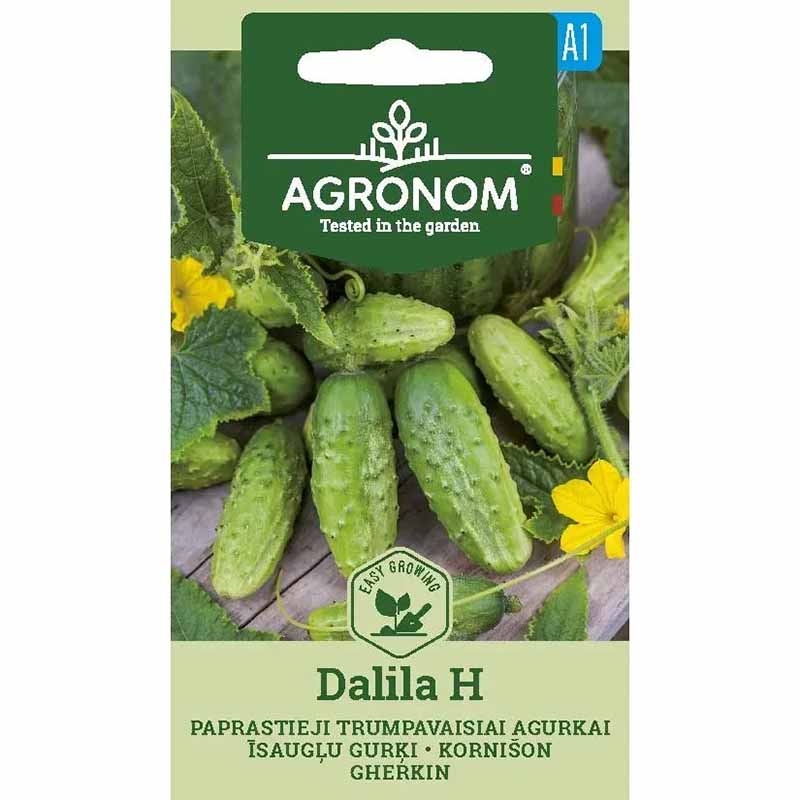 Agurk 'Dalila' F1