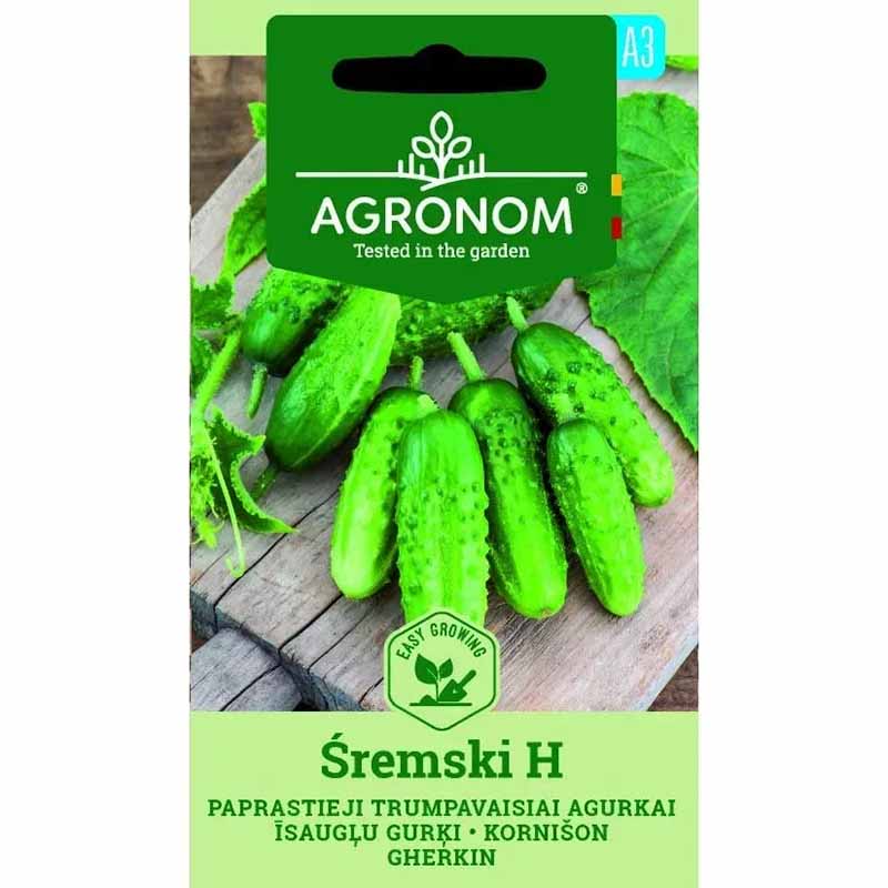 Agurk 'Śremski' F1