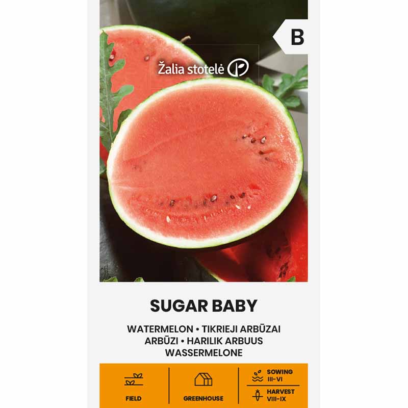Vandmelon 'Sugar Baby'