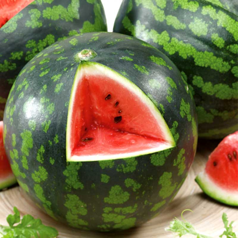 Vandmelon 'Mini Love' F1