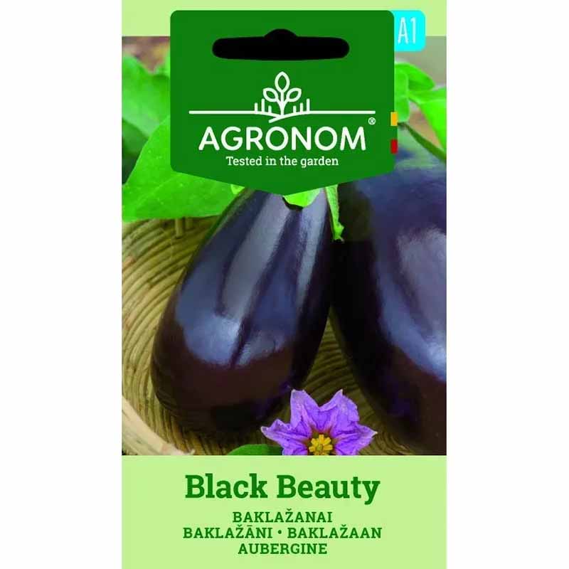 Aubergine 'Black beuty'